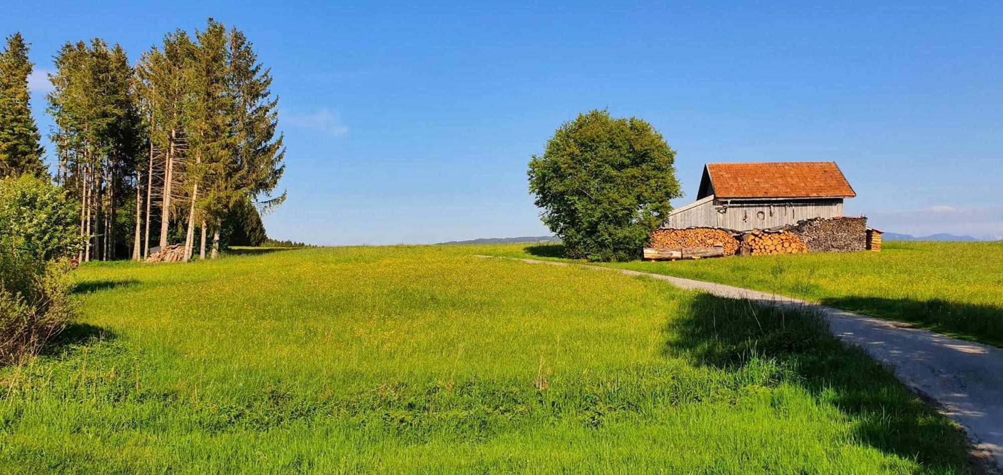 Lechbruck Am See Feriendorf Hochbergle Haus 140 외부 사진